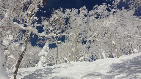 Hokkaido Ski Resort: Insider’s Guide to Hokkaido skiing