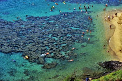 Ultimate Guide To Hanauma Bay Snorkeling - Spotlight Hawaii