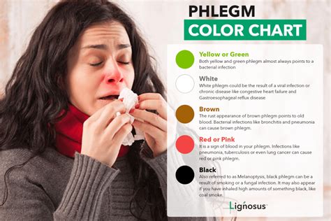 Green Phlegm: Is It Bad News? | Lignosus