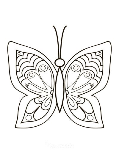 33+ Butterfly Coloring Sheet PNG