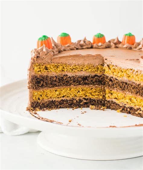 Chocolate Pumpkin Cake - The Itsy-Bitsy Kitchen