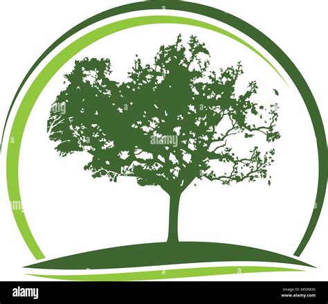 Oak Tree Logo Design Template Vector Stock Vector Image & Art - Alamy