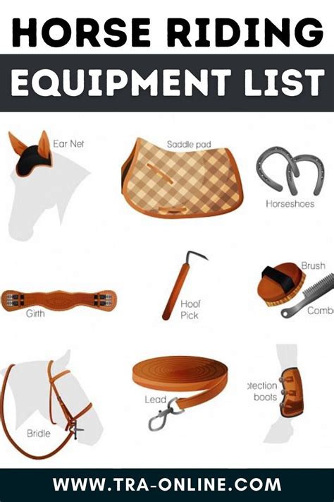 Horse riding equipment list!! | Horse riding gear, Horse riding clothes ...