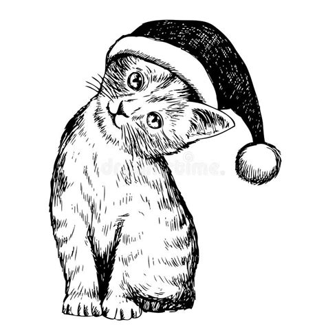 Kitten Cat With Christmas Hat Stock Vector - Image: 63340116