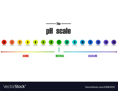 Science ph scale template Royalty Free Vector Image