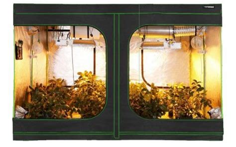 Best Grow Tent Setup Guide | Build the Perfect Indoor Grow Tent