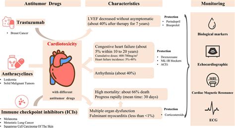 Frontiers | Clinical Manifestations, Monitoring, and Prognosis: A ...