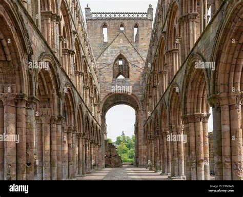 View at ruins of Jedburgh abbey in Scottish borders Stock Photo - Alamy