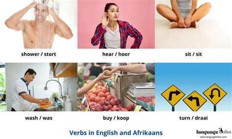 82 Of The Most Common Verbs In Afrikaans (With Pictures) – Language Hobo