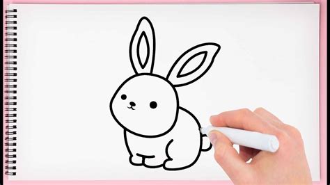 How To Draw Bunnies Step By Step For Kids