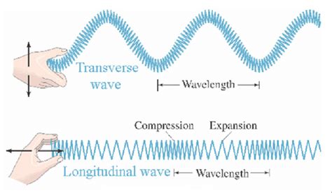 Illustration of Transverse versus Longitudinal Wave (Source: Scalar ...