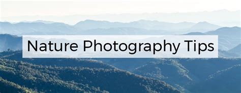 Nature Photography Tips – PictureKeeper.com