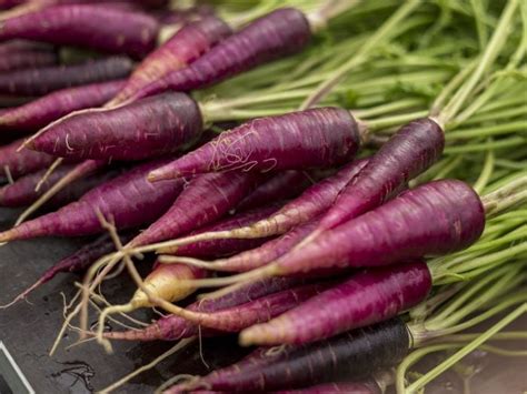 Purple Carrot: Nutrition & Benefits | Organic Facts