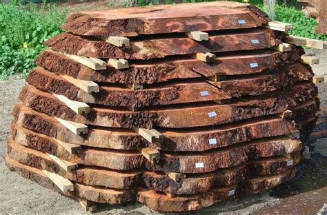 Lace Redwood Burl Live Edge Slabs | Salvaging and Reclaiming Urban Woods