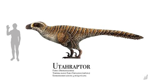 134 best Utahraptor images on Pholder | Dinosaurs, Naturewasmetal and ...