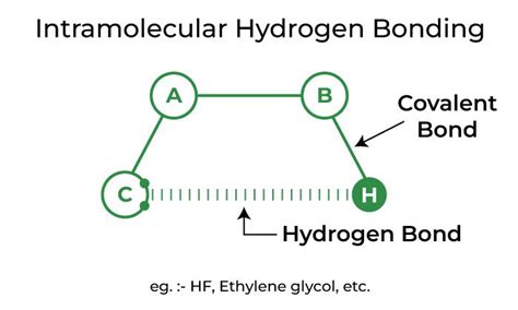 Hydrogen Bonding – Definition, Types, Effects and Properties (2022)