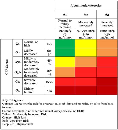 Part III What GFR actually is + how GFR fits in with staging chronic ...