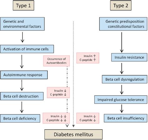 Diabetes Mellitus Tipo 2