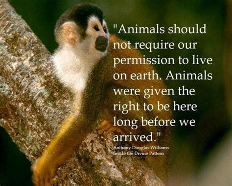 Quotes about Protect wildlife (31 quotes)