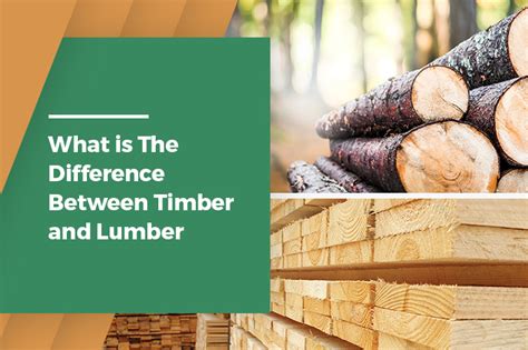 Do You Know The Difference Between Timber Lumber Plywood Freres ...