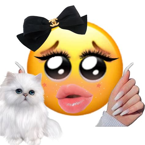 cats animal pet kitten emoji emojis sticker by @bny6qbsa