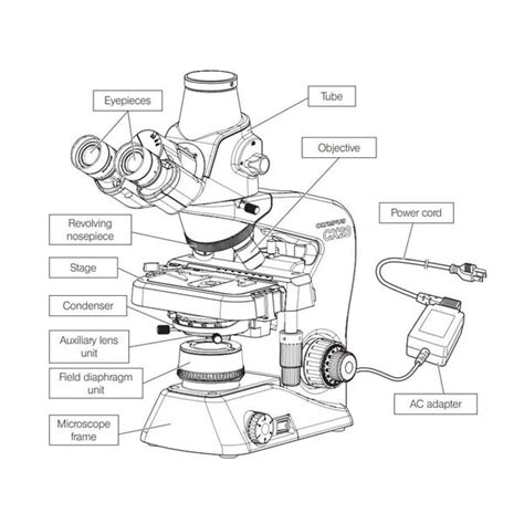 Evident Olympus Microscope Olympus CX23 Photo, trino, plan, 40x,100x ...