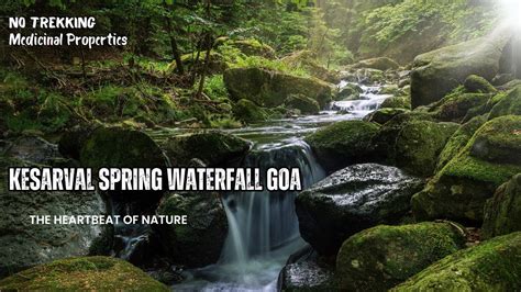 Kesarval Waterfall Goa | Aqua waterfall | Mist | Best Waterfalls In Goa ...