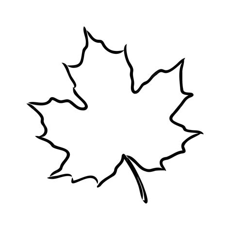 Premium Vector | Fall leaf clipart black and white leaf drawing vector ...