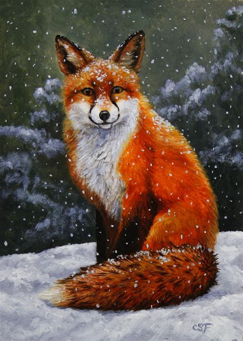 Snow Fox Painting by Crista Forest - Fine Art America