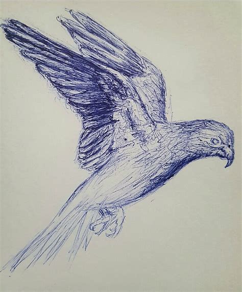 How To Draw A Realistic Bird Flying