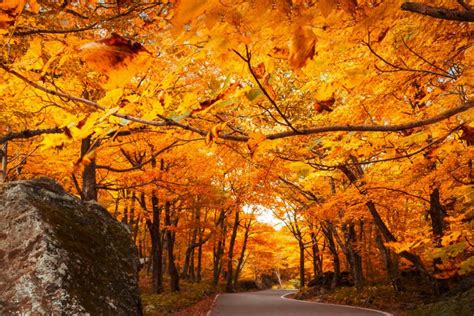 stowe vermont fall colors - Travel Off Path