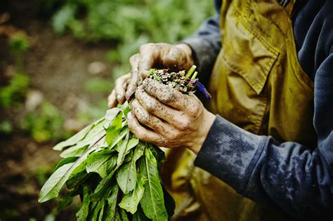 Is Organic Farming a Good Career Choice?