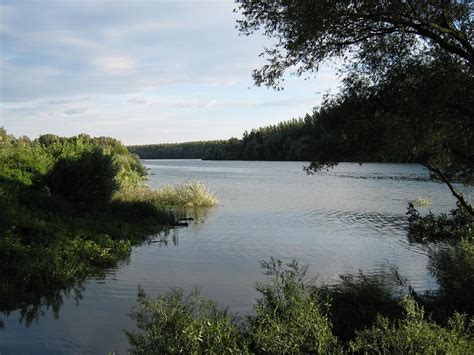 Fall Fishing For Catfish: 10 Tips You Need To Know