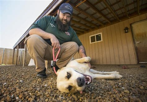 Bentonville animal shelter plans hit rough patch | Northwest Arkansas ...