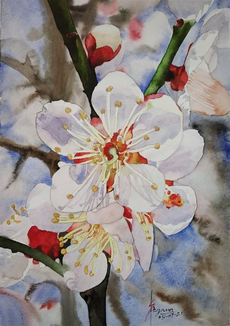 Apricot blossom flower Painting by SUNIL Kumar | Saatchi Art