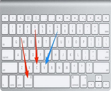 How to Copy and Paste on Mac ( Cut - Copy - Paste Files Shortcut )