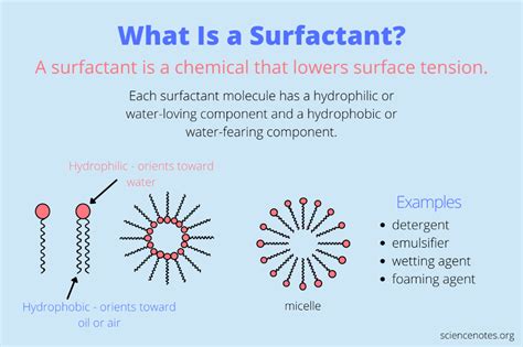 Surfactant Definition and Examples | Chemistry letters, Intermolecular ...