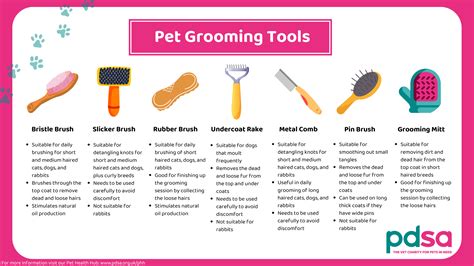 How often should you groom your pet? - PDSA