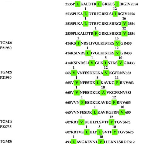 Calmodulin binding domains and motifs in Parkinson's and Lewy body ...