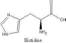 Histidine Molecule