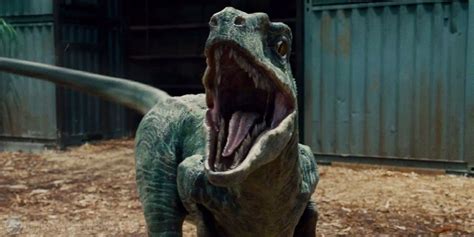 Jurassic World: What Makes Blue Different? | ScreenRant | Dinosaurios ...