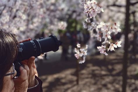 Get Up Close And Personal With The Best Macro Lens For Canon