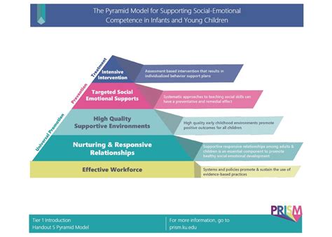 Introduction: Handout 5 Pyramid Model - PRISM