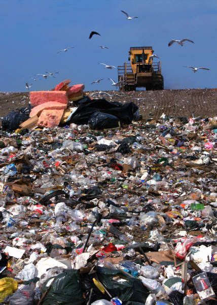 Landfill Decomposition Rates For Common Items | Green education ...