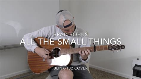 All The Small Things - Blink-182 Cover - YouTube