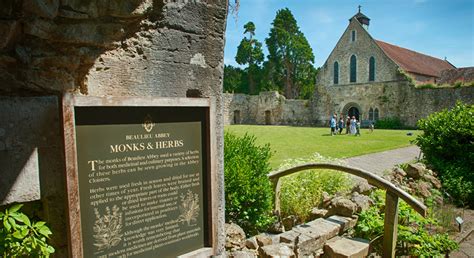 Beaulieu Abbey | A Glimpse into History and Tranquility - BeyondVisit