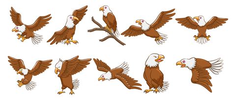 Eagle Cartoon Images