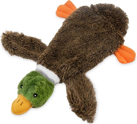 Best Pet Supplies Squeaky Wild Duck: $6 Dog Toy Perfect for Playing