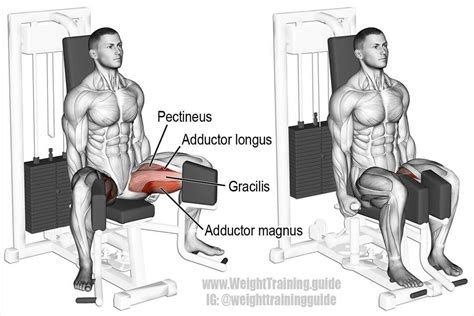 Seated hip adduction. An auxiliary leg exercise that targets your hip ...