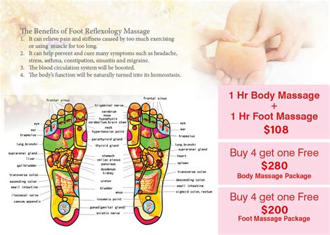 Happy Feet Spa | 626 Park Avenue, Suite 2, Rochester, NY 14607 | 585 ...